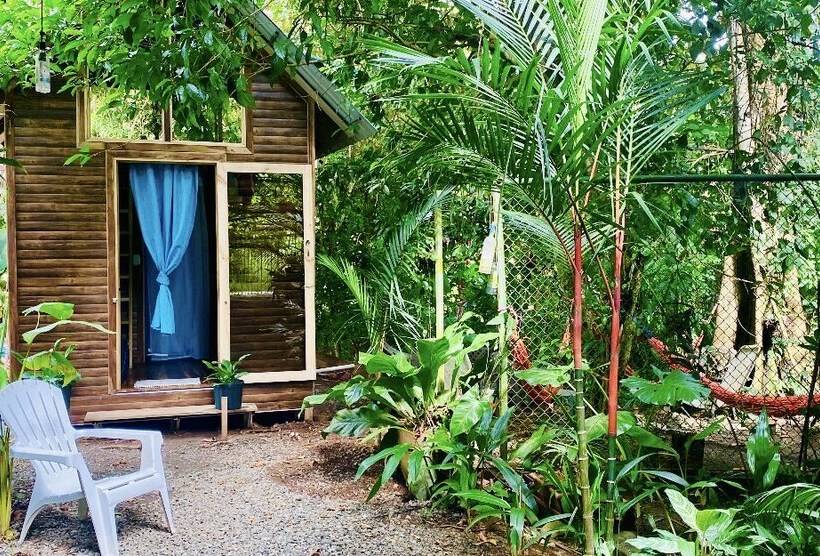 膳宿费 Guest House Pura Vida