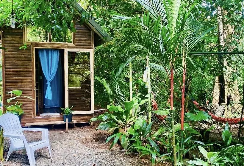 ペンション Guest House Pura Vida