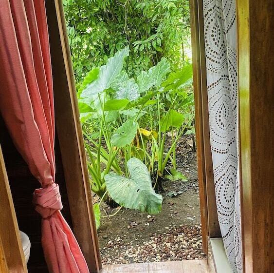 膳宿费 Guest House Pura Vida