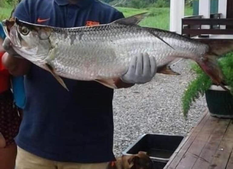 بنسيون Guesthouse La Ressource