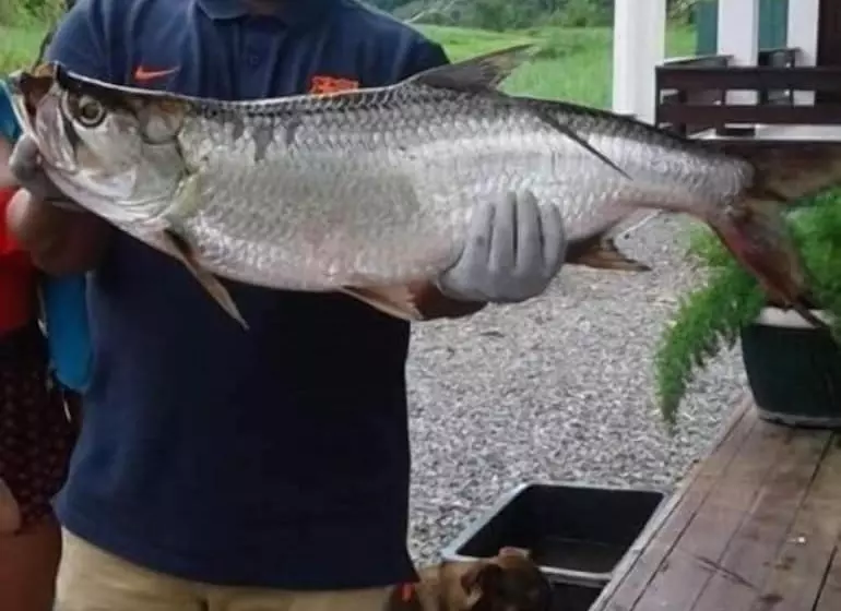 ペンション Guesthouse La Ressource