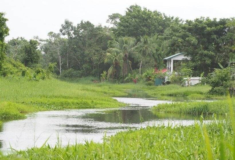 بنسيون Guesthouse La Ressource