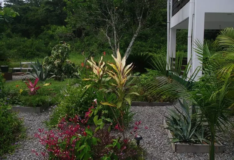 ペンション Guesthouse La Ressource