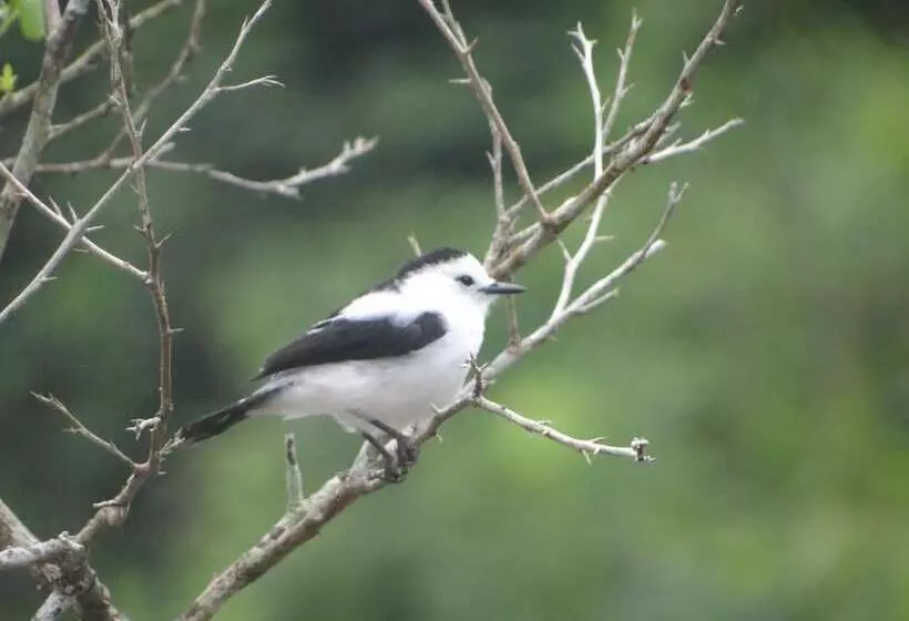 ペンション Guesthouse La Ressource