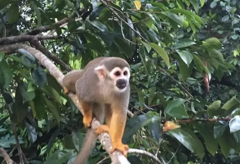 ペンション Guesthouse La Ressource