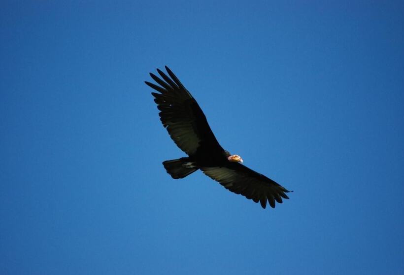 بنسيون Guesthouse La Ressource