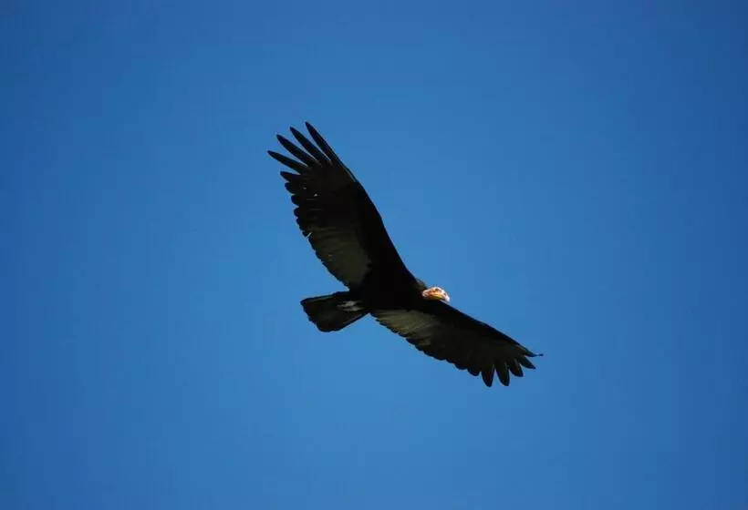 ペンション Guesthouse La Ressource