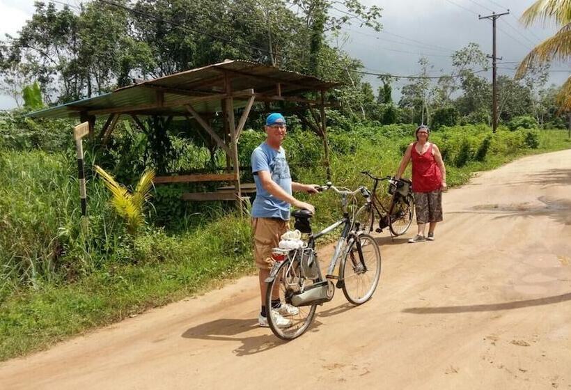 بنسيون Guesthouse La Ressource