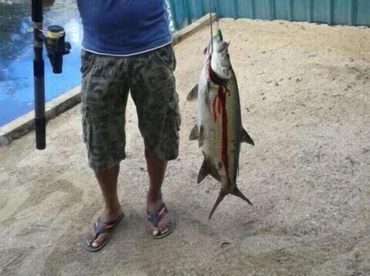 بنسيون Guesthouse La Ressource