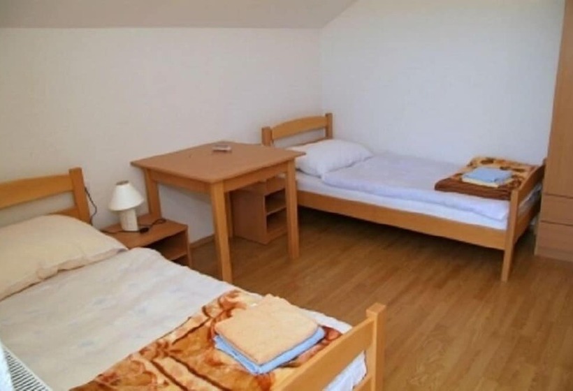 膳宿费 Prenociste Denis