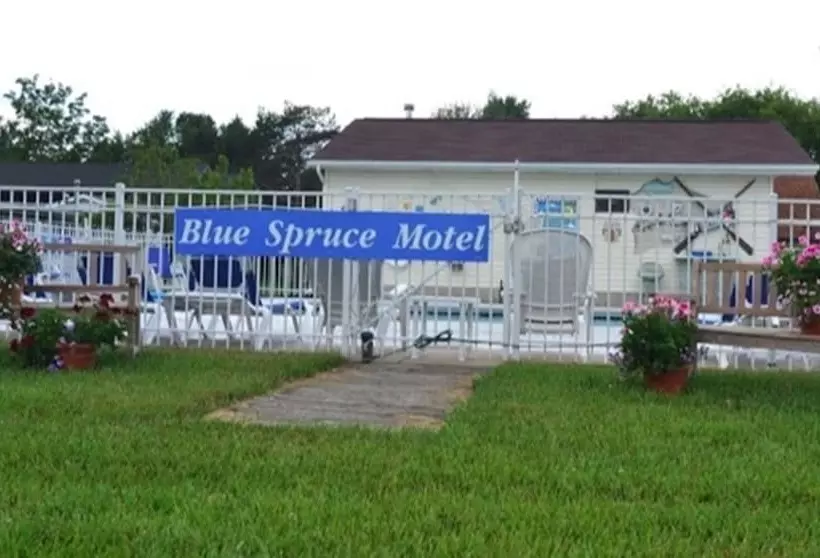 Blue Spruce Motel