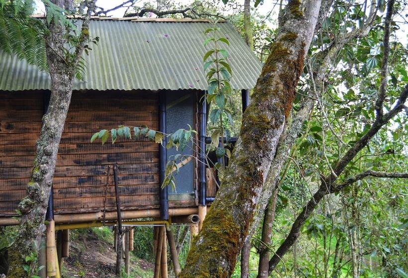 ホテル Cabañas Y Restaurante El Viejo Tambo
