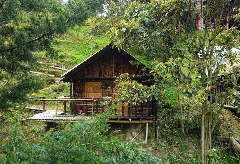 ホテル Cabañas Y Restaurante El Viejo Tambo