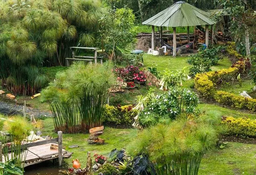 ホテル Cabañas Y Restaurante El Viejo Tambo