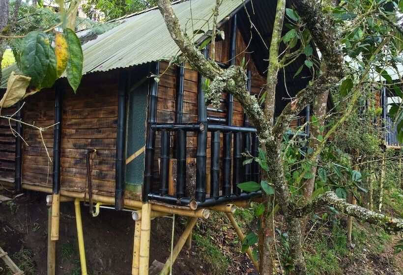 ホテル Cabañas Y Restaurante El Viejo Tambo