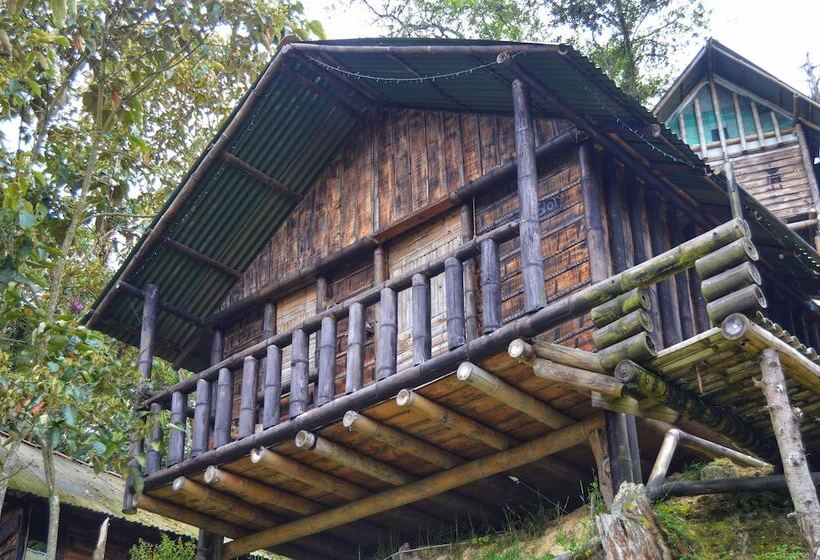 ホテル Cabañas Y Restaurante El Viejo Tambo