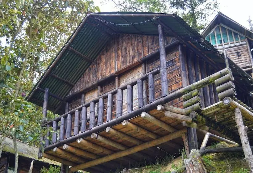 ホテル Cabañas Y Restaurante El Viejo Tambo