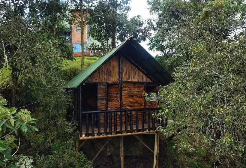 ホテル Cabañas Y Restaurante El Viejo Tambo