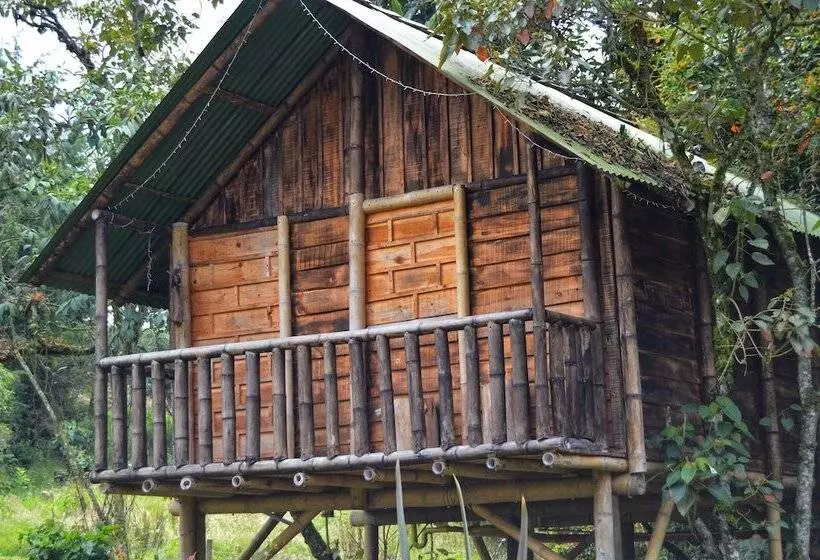 ホテル Cabañas Y Restaurante El Viejo Tambo