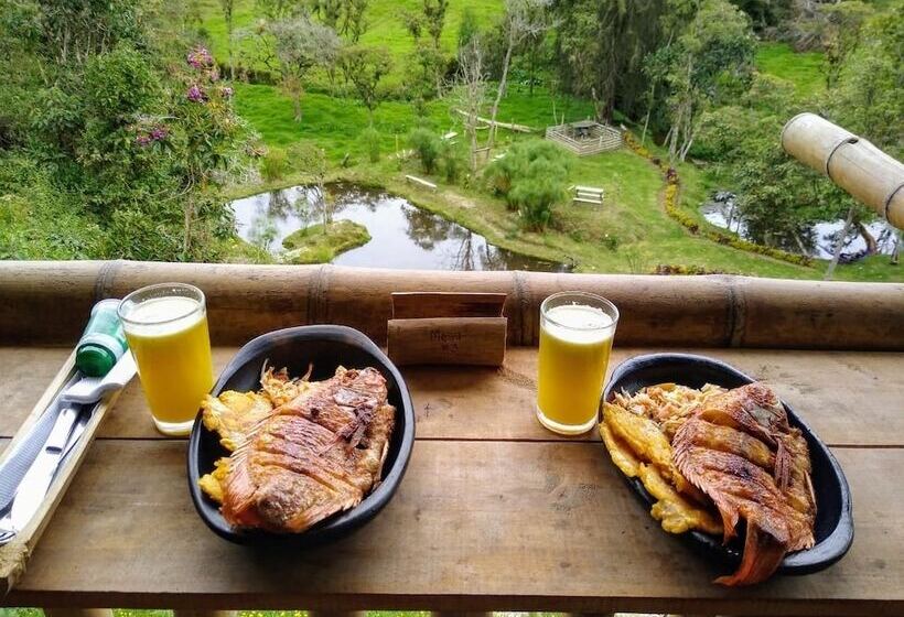 ホテル Cabañas Y Restaurante El Viejo Tambo