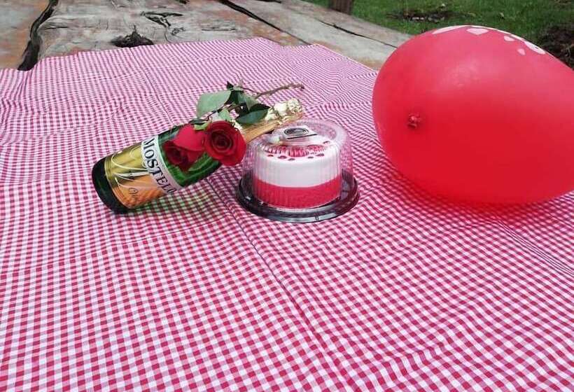 ホテル Cabañas Y Restaurante El Viejo Tambo