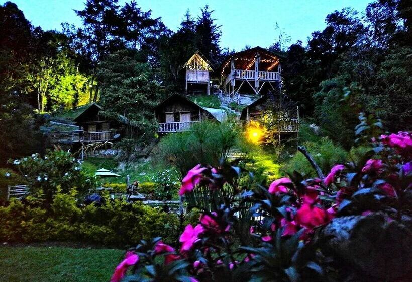 ホテル Cabañas Y Restaurante El Viejo Tambo