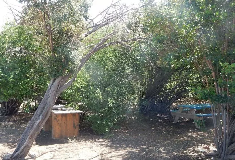 هتل Eco Resort Bonaire