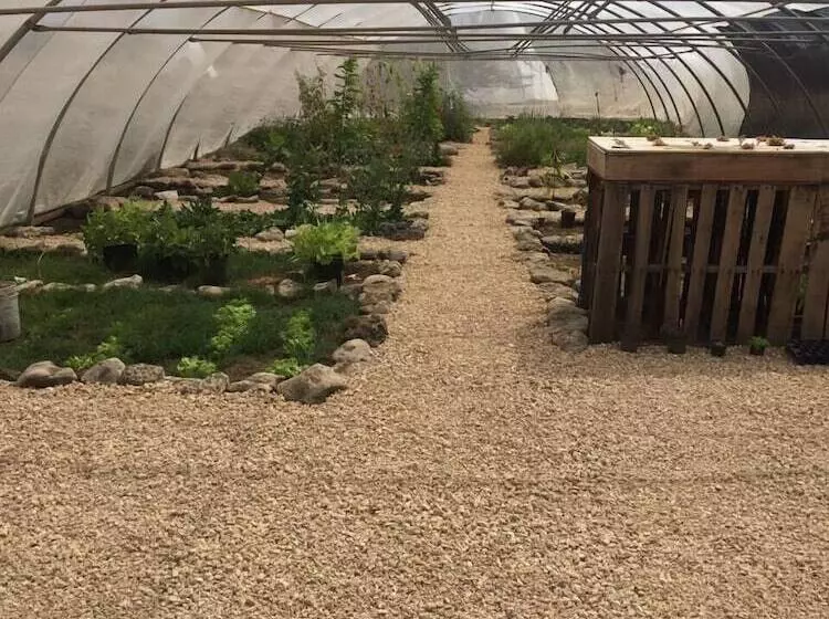 هتل Eco Resort Bonaire