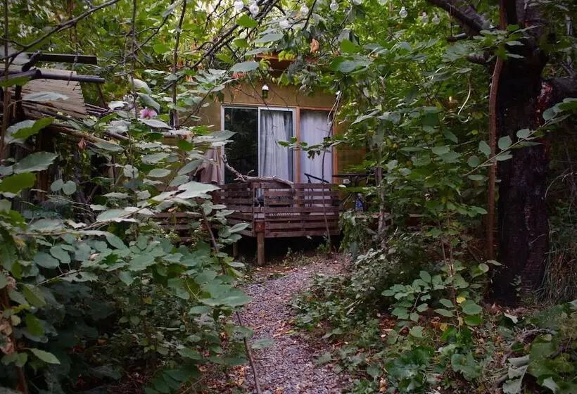 هتل El Jardin
