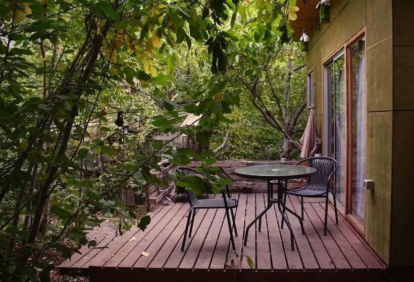 هتل El Jardin
