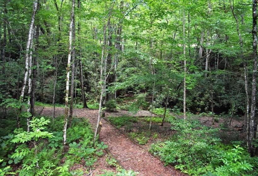 Lucilles Creekside Hideaway