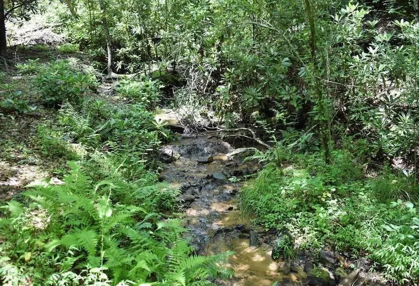 Lucilles Creekside Hideaway