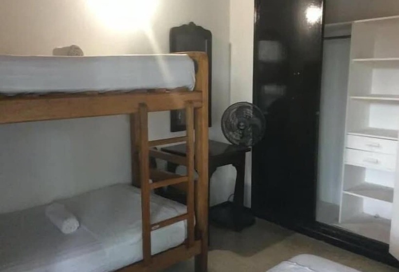 Palm Tree Hostal Medellin   Hostel