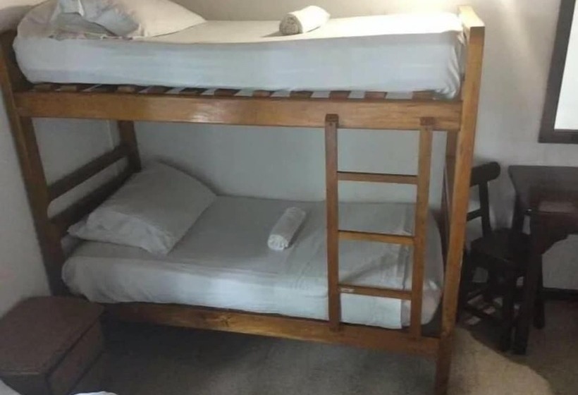 Palm Tree Hostal Medellin   Hostel