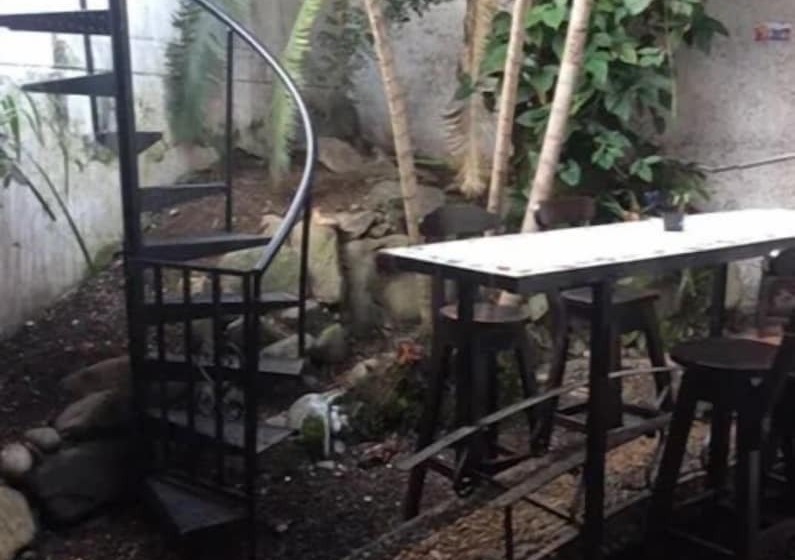 Palm Tree Hostal Medellin   Hostel