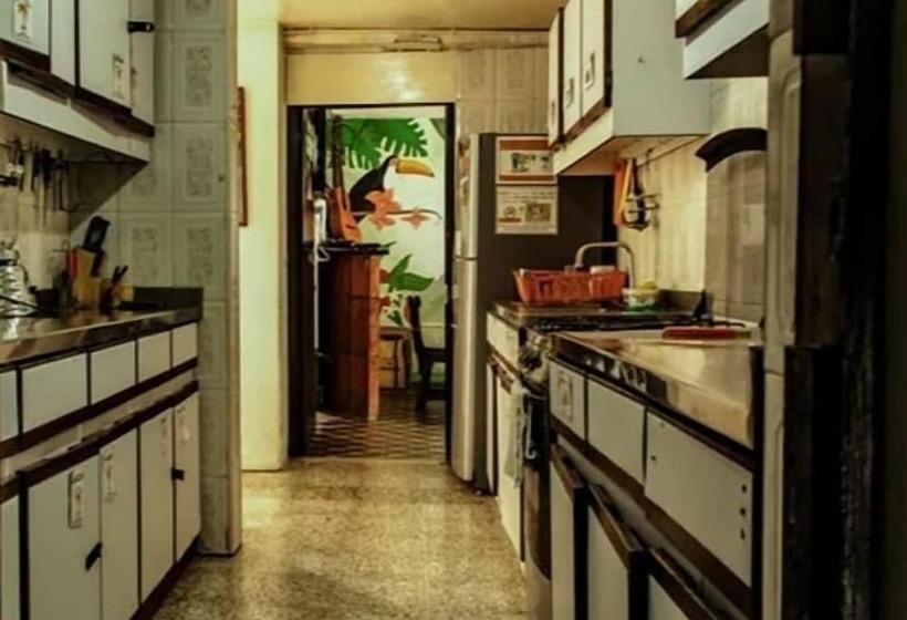 Palm Tree Hostal Medellin   Hostel