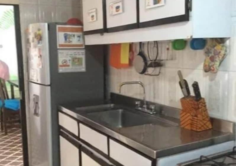 Palm Tree Hostal Medellin   Hostel