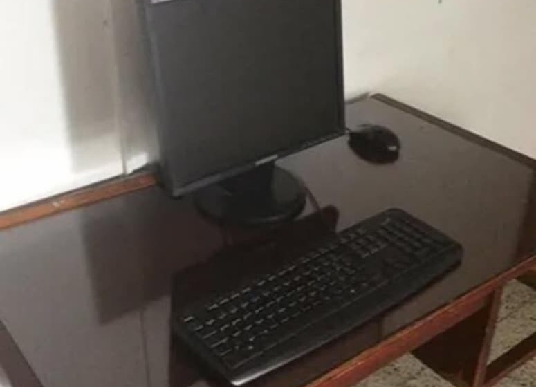 Palm Tree Hostal Medellin   Hostel