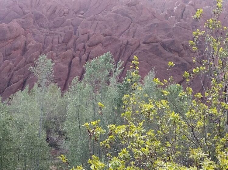 بنسيون Auberge Amazir