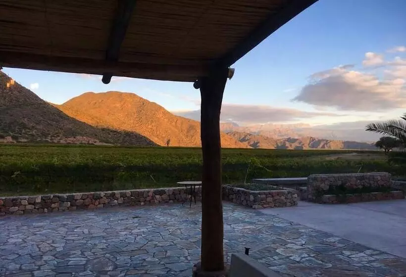 ペンション Chañarmuyo Casa De Huéspedes