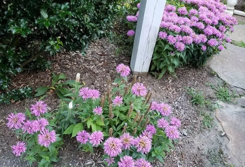 Aamiaismajoitus (B&B) Daniel Stebbins House