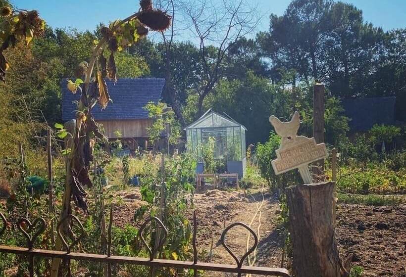 住宿加早餐 Ecolodge Beauregard