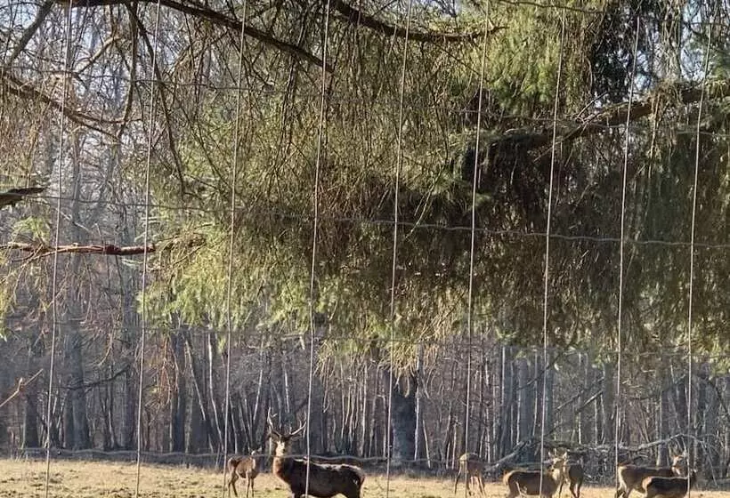 ベッドアンドブレックファースト Ecolodge Beauregard