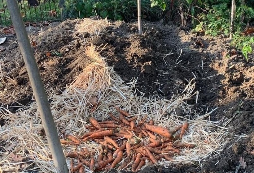 住宿加早餐 Ecolodge Beauregard