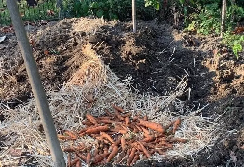 ベッドアンドブレックファースト Ecolodge Beauregard