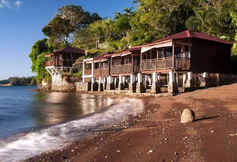 Aamiaismajoitus (B&B) Froggies Divers Lembeh