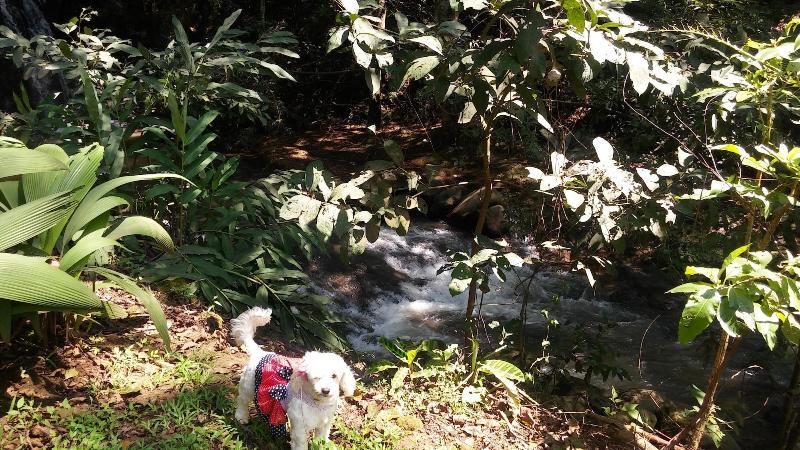 ベッドアンドブレックファースト Regenerate Wellness Center At Villas Escondidas