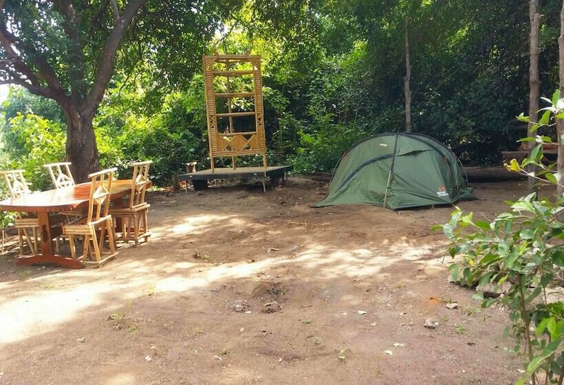 Bed and Breakfast Selous Adili Forest Camp