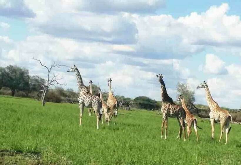 Bed and Breakfast Selous Adili Forest Camp