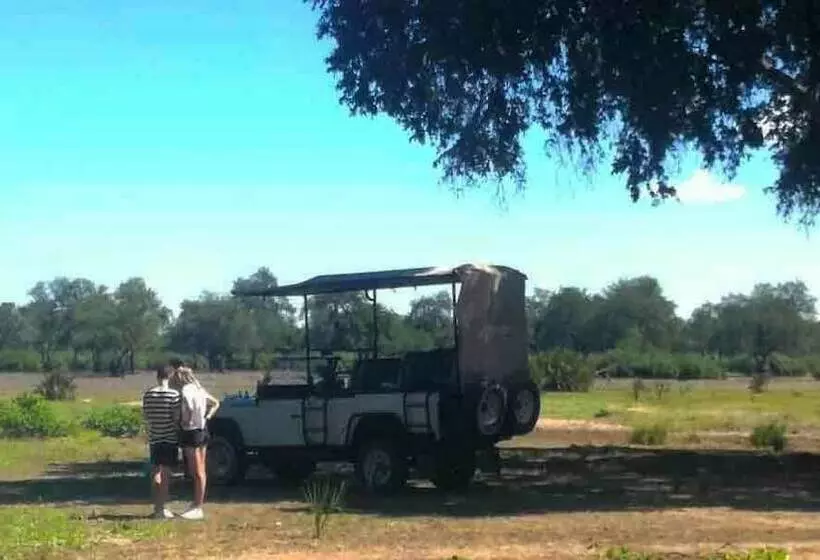 Aamiaismajoitus (B&B) Selous Adili Forest Camp